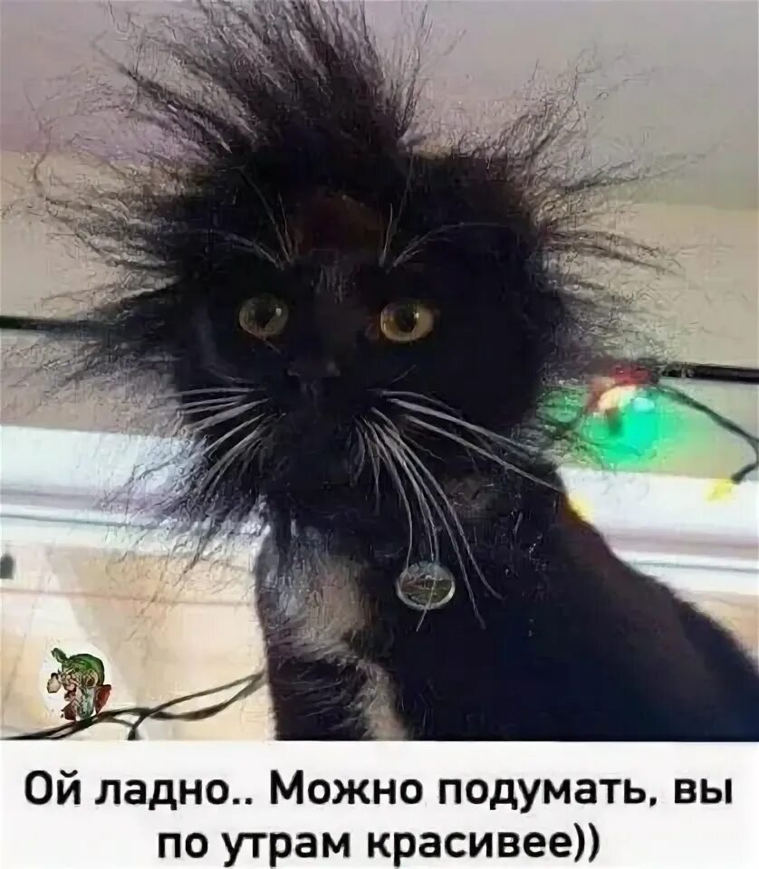 Коньяк проблему не решит можно подумать кефир решит. Можно подумать можно подумать в нашем подъезде. Мемы подумай. Подумаю над этим. Ну можно подумать.