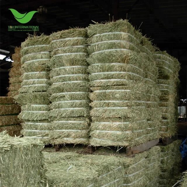 Люцерна для коров. Люцерна в гранулах. сено из люцерны. alfalfa hay load commodity. сенород.