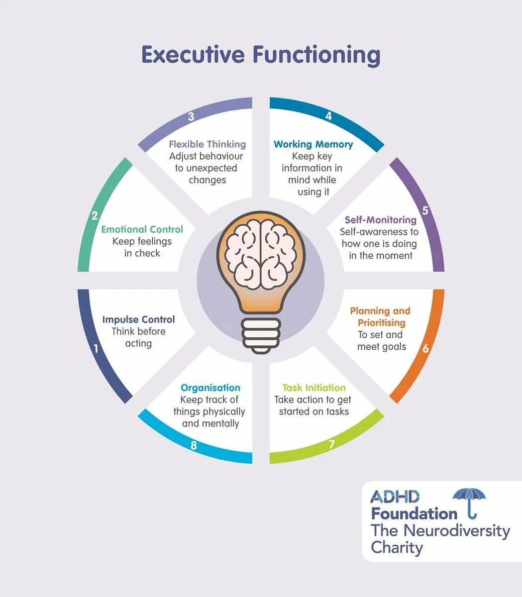 Adhd 6 executive functions. Executive functions. Executive function. Heard lobe. Executive function.
