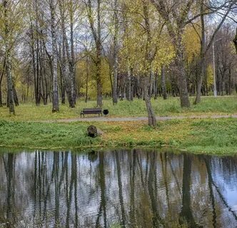 Баташевский сад фото
