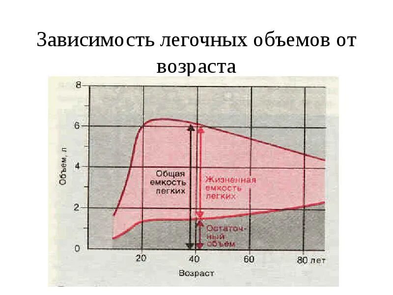 Объем легких в процентах. Объём лёгких человека. Объём лёгких здорового человека. Объем легких взрослого человека в литрах. Объем легких в зависимости от возраста.