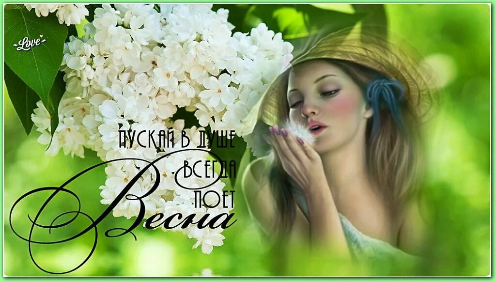 Музыка чекалина видео. Музыка чекалина видео