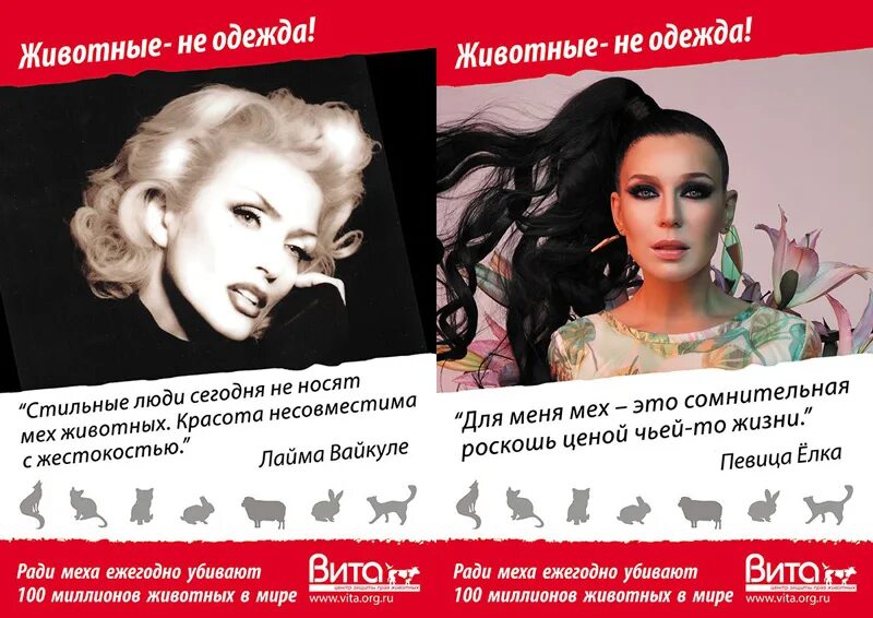 Не носите мех. Животные не одежда. почему носить мех животных нужно запретить цитаты.