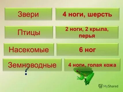 Конспект урока окружающий мир какие бывают животные