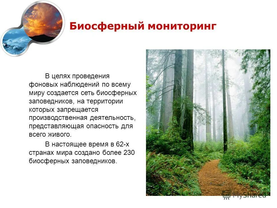 Мониторинг состояния окружающей природной среды. Биосферный мониторинг окружающей среды. объекты биосферного мониторинга. биосферный фоновый мониторинг. презентация на тему мониторинг окружающей среды.