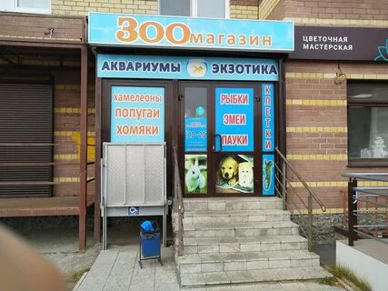 Зоомагазин тюмень