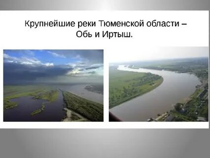 Тюменская область 18