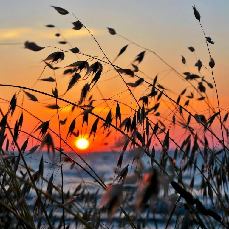 Вечер незаметно. Чудесный закат. Любоваться закатом солнца. Вечер незаметно. Цените молодость.