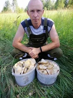 Грибники мордовии