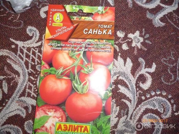 Томат тигиретта. Какие самые лучшие сорта помидор. Томат радуга хейли. Низкорослые томаты черри для теплиц. Томаты суперранние низкорослые сорта.