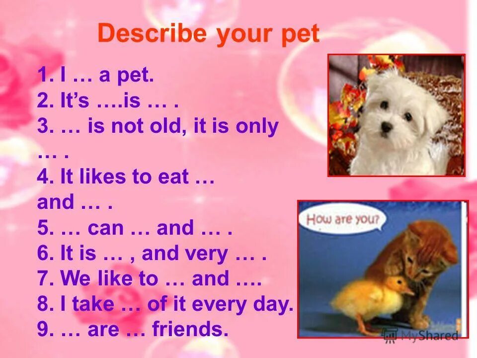 Describe your Pet. Describe my Pet. My Pet 3 класс. Чтение my Pet для малышей. Pet 2 английский