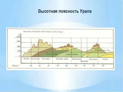 Высотная поясность животные и растения