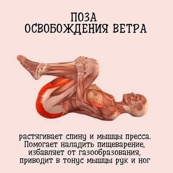 Как снять гипертонус мышц. Поза освобождения ветра. поза освобождения ветра в йоге. тонус мышц. мышца в гипертонусе.