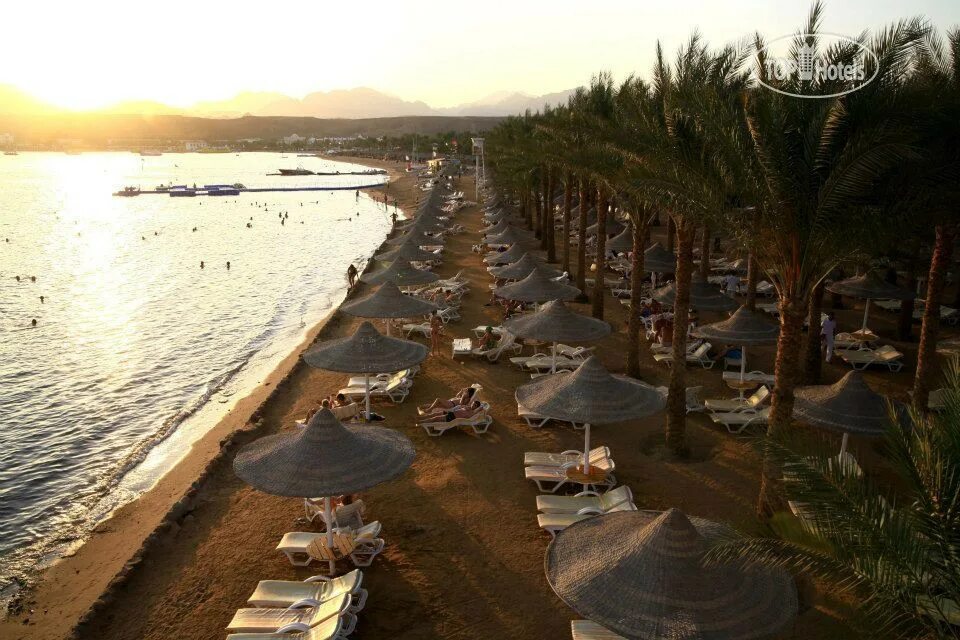 Сети Шарм Палм Бич Резорт Шарм-Эль-Шейх. Seti Sharm Palm Beach Resort 4. Seti Sharm 4 пляж. Seti Sharm Resort 4 Шарм-Эль-Шейх.