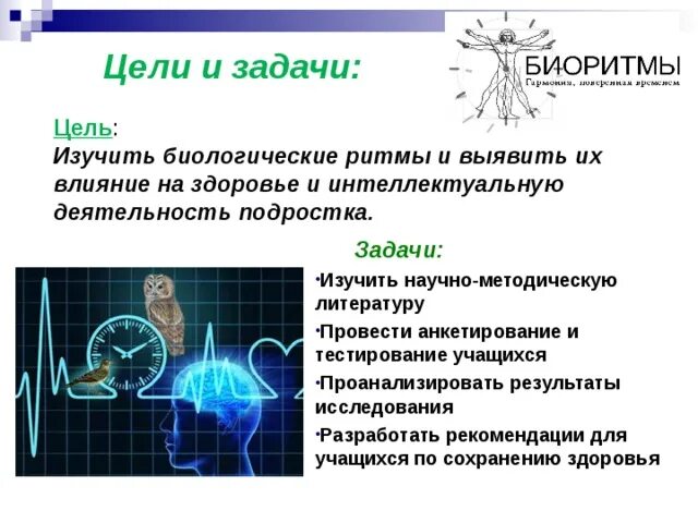 суточные ритмы организмов. суточные ритмы организмов. суточные ритмы человека. суточные ритмы организмов. суточные биоритмы человека.