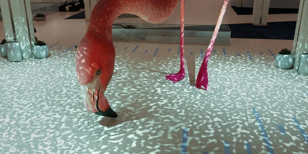 Аэропорт с фламинго. Bonaire international airport аэропорт. Аэропорт фламинго. Аэропорт тампа фламинго. Остров бонэйр фото аэропорт.