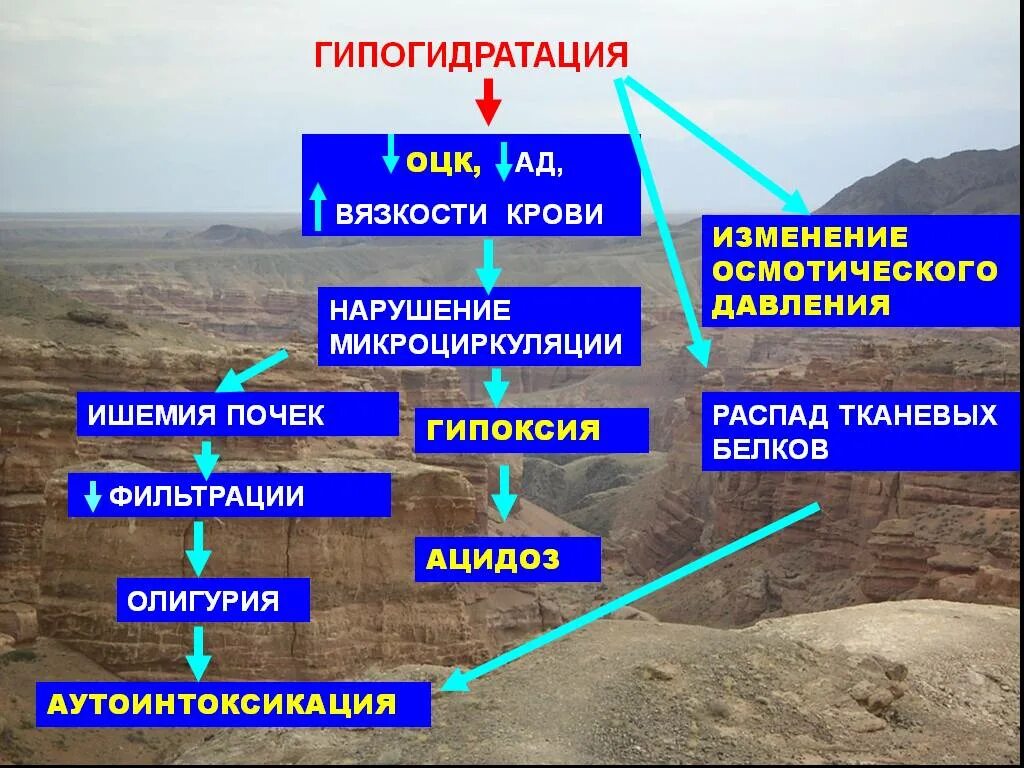 Гипогидратация это. Гипогидратация. Гипогидратация виды. Гипогидратация причины. Гипогидратация картинки.