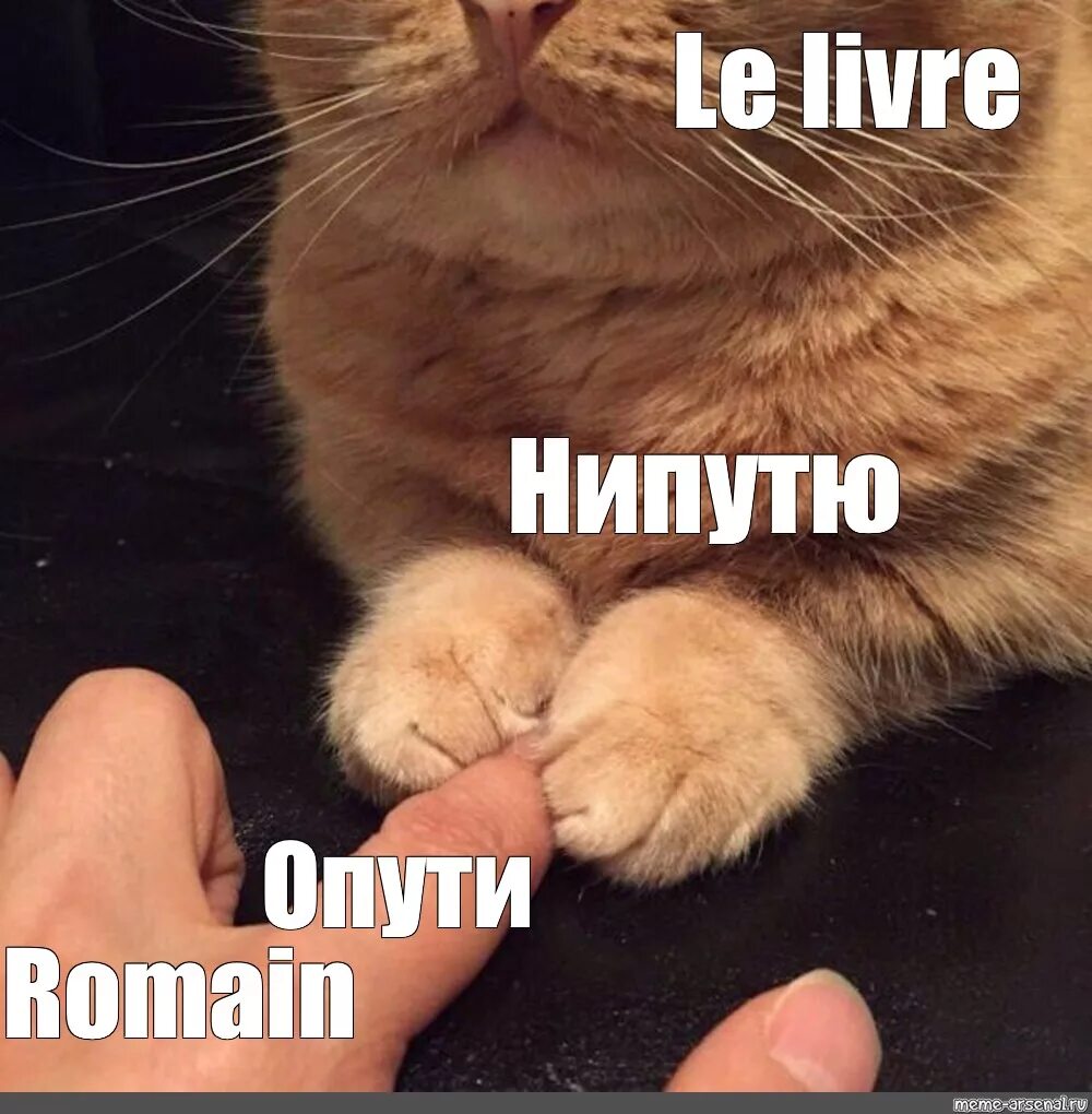 Du pareil du meme. Опути нипутю. НЕПУТЮ Мем. Мем опути не опутю. Le, Мем.