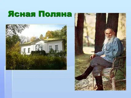 Толстой жизнь в ясной