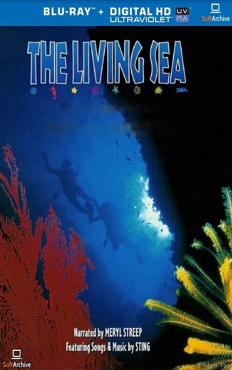 I live in the sea. Живой океан фильм 1995. живой океан (the living sea) 1995 кадры. дитя океана (1995). живой океан imax 1995 постер.