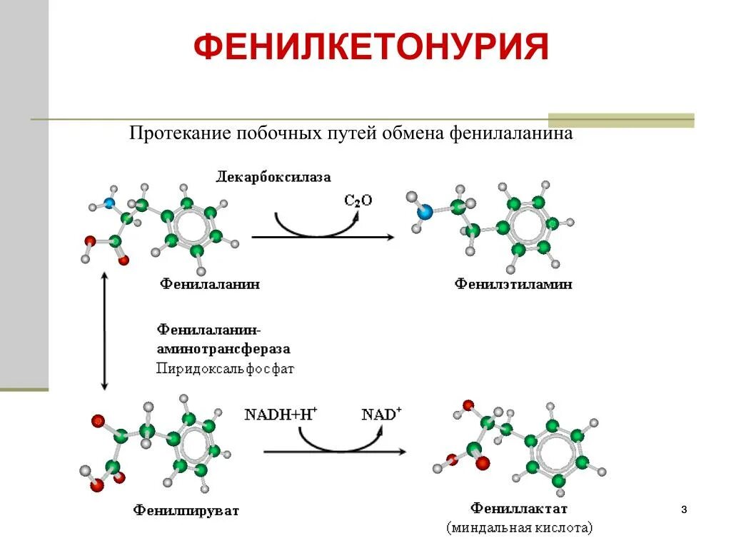 Фенилкетонурия патогенез схема. Механизм развития фенилкетонурии схема. Причины фенилкетонурии биохимия. Фенилаланин при фенилкетонурия. Фенилкетонурия генотип