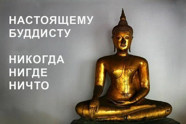 Нигде ни. Буддист ничего. С днем рождения буддизм. Ничего буддизм. Буддийские приколы.