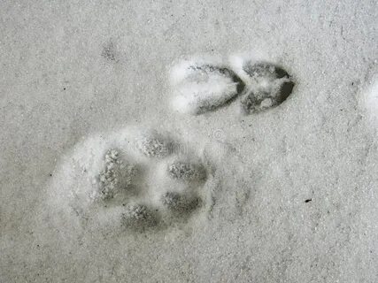 След в след как пишется