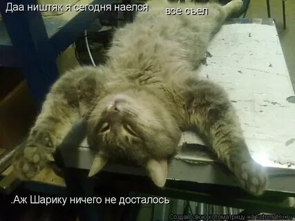 Не досталось ее