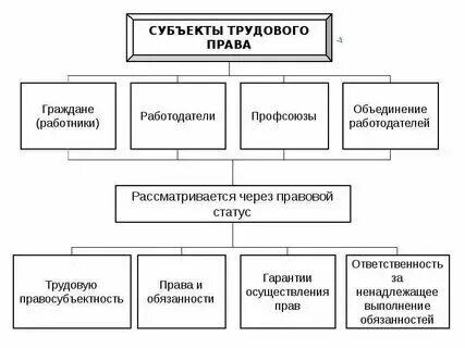 Понятия и виды субъектов трудового
