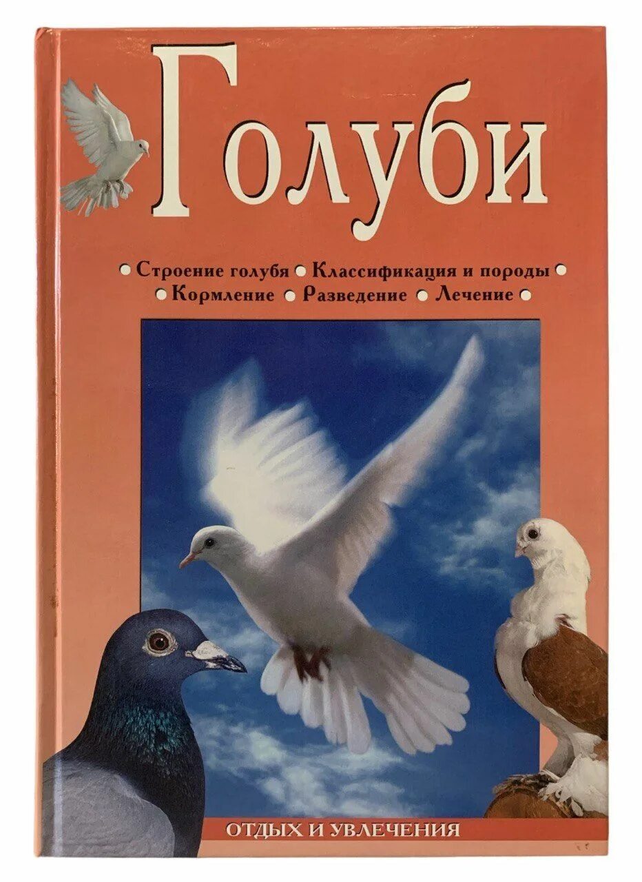 Книги про голубей. Книга породы голубей. Книги для детей про голубей. Книжки про голубей. Художественные произведения о голубях.