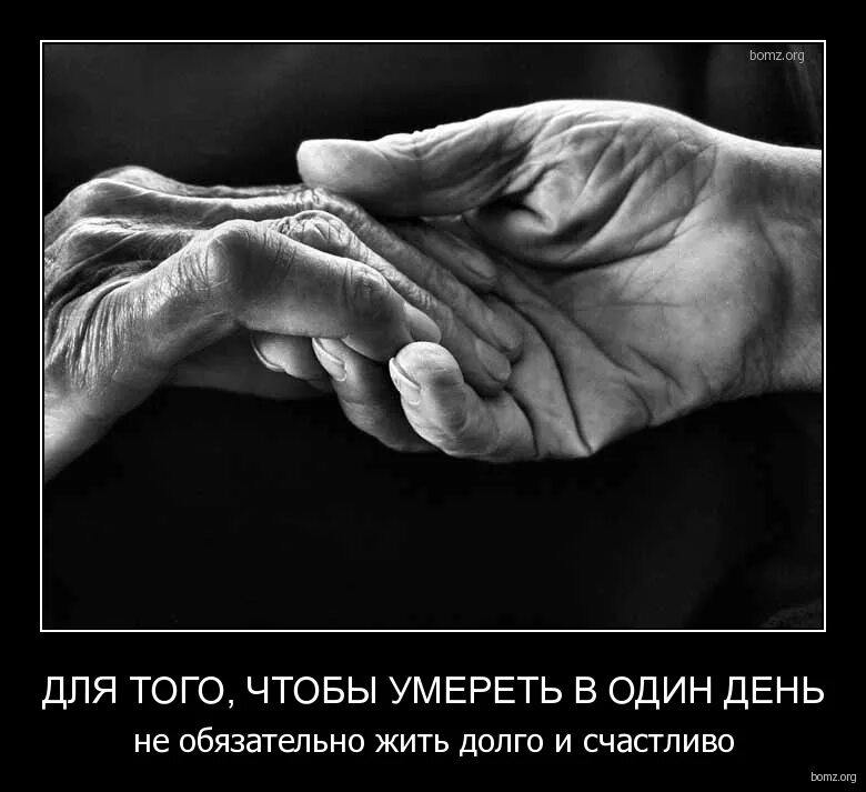 и жили они долго и счастливо. и жили они долго и счастливо. жили счастливо и умерли в один. ты будешь жить долго и счастливо. петр и феврония в монашестве.