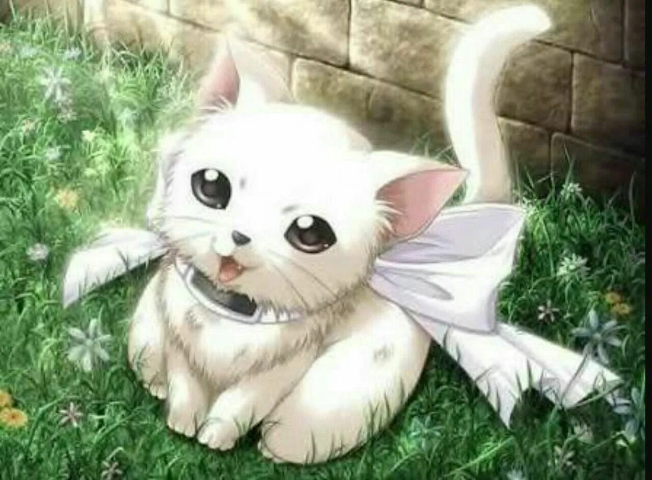 I m a cat. I m a cat