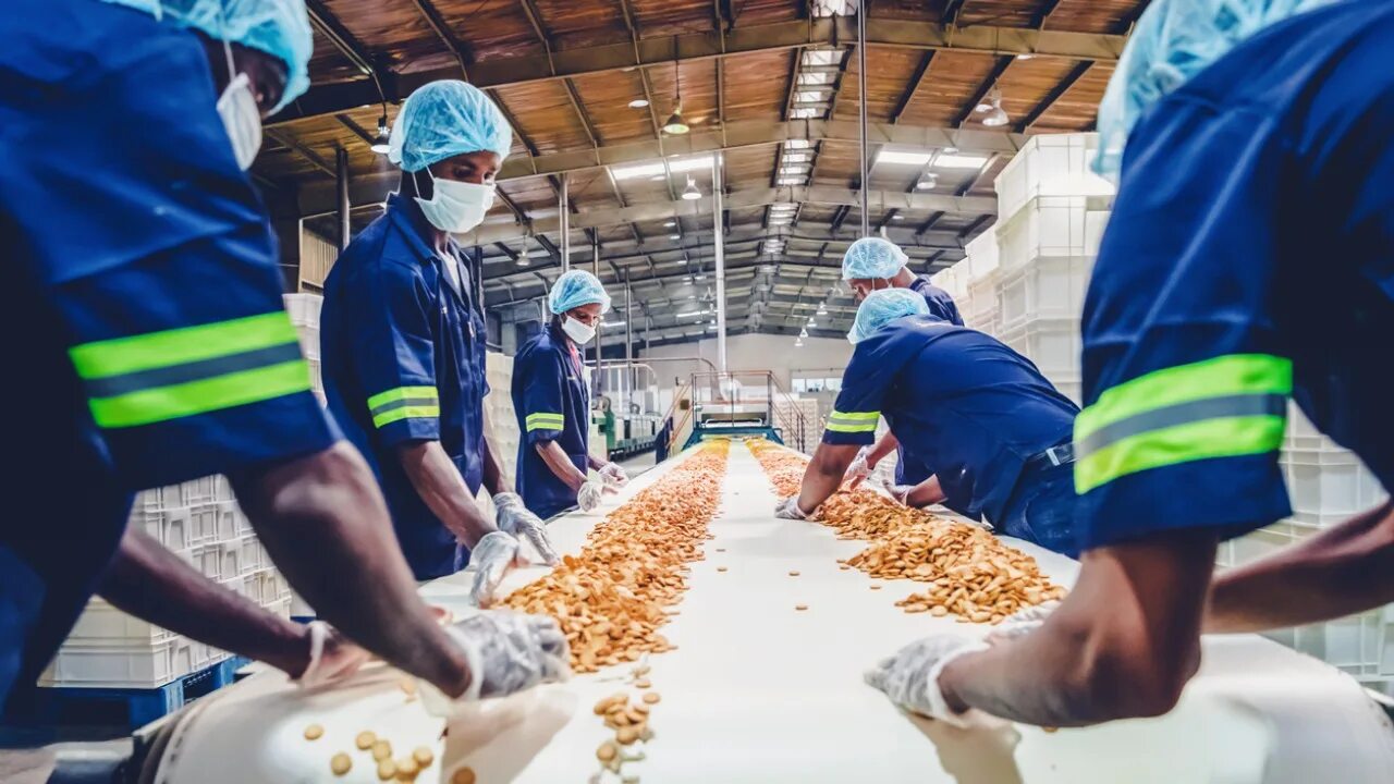 Meet processing. Пищевая промышленность. завод пищевой промышленности. food processing industry. фабрика еды.