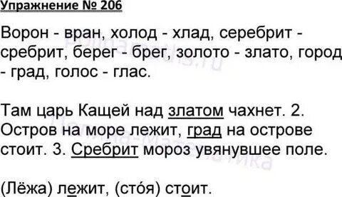 Русский язык номер 206