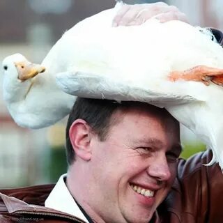 Задать нелепый