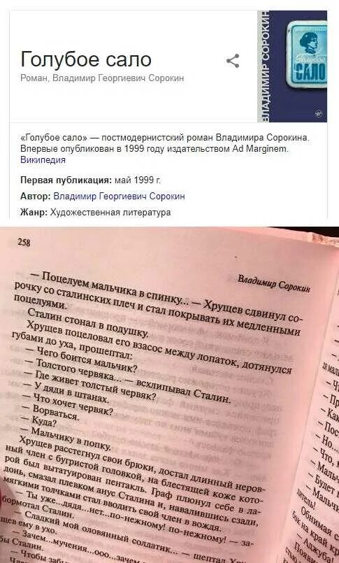 Голубое сало. Голубое стало книга Сорокина.