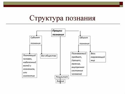 Схема формы познания