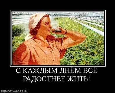 Жизнь стала лучше жизнь стала веселее