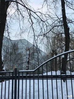 Школьная 16 москва