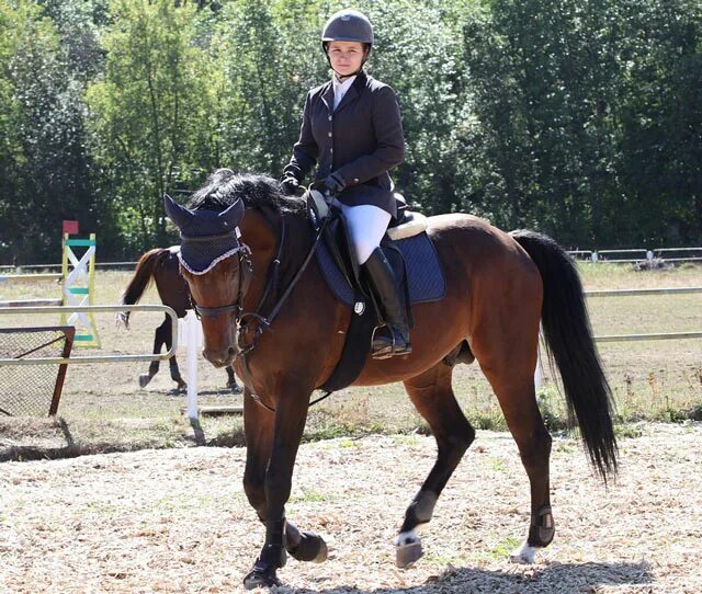 Конный спорт результаты