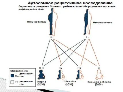 Все социальные статусы наследуются при рождении