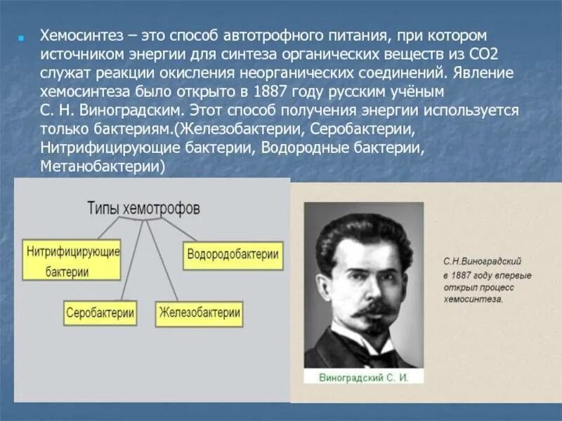 Виноградский хемосинтез. Железобактерии реакции хемосинтеза. Хемосинтез открыл в 1887. Процесс хемосинтеза.