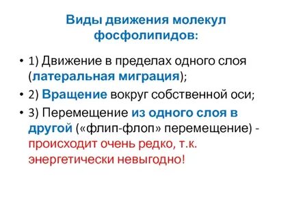 Как верифицировать в движении первых