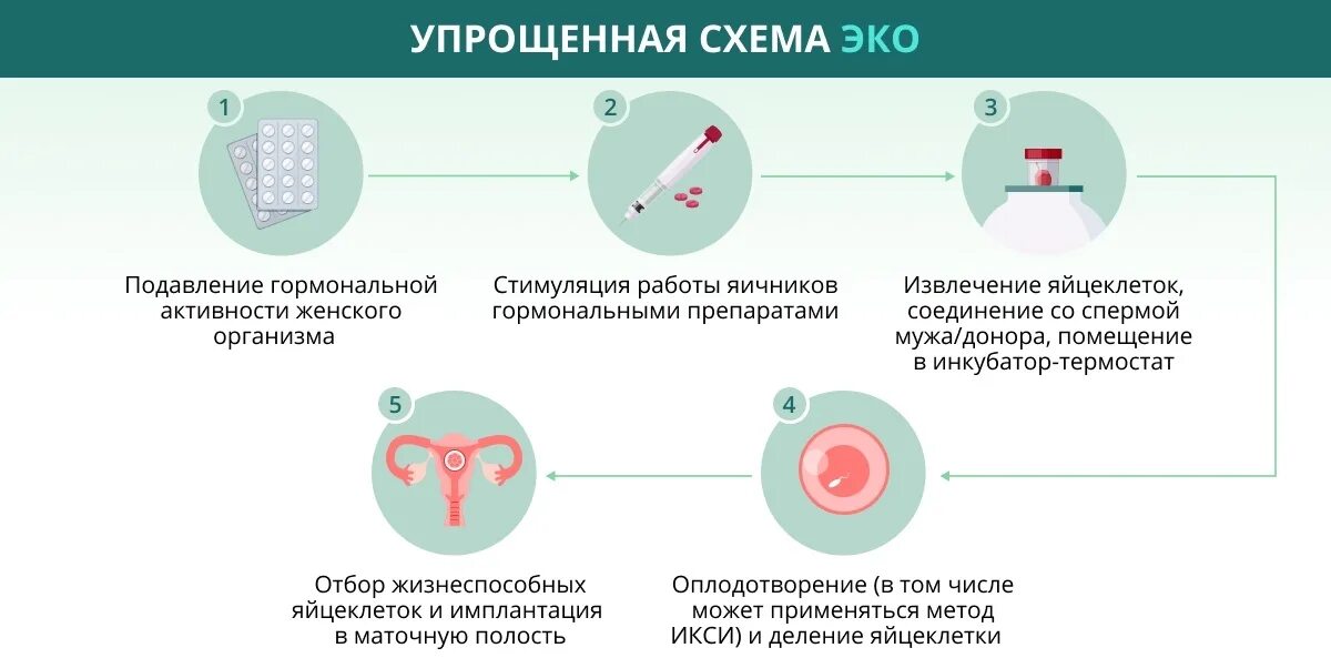 С чего начать подготовку к эко. Схема экстракорпорального оплодотворения. Этапы искусственной инсеминации. Эко метод оплодотворения. Эко оплодотворение схема.