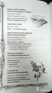 Слово книга на латинском