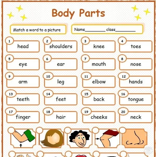 Match the pictures with the text. Body Parts tasks. Worksheets my body 3 класс. Body Parts 3 класс Worksheet. Parts of body exercise 3 класс.