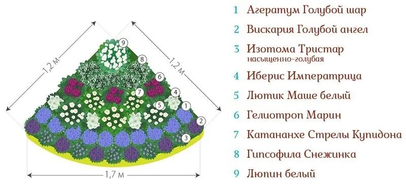 Клумбы непрерывного цветения схемы. Схема цветочных клумб из однолетников. схемы клумб непрерывного цветения однолетники. схема цветника из многолетников и однолетников. схема посадки клумбы непрерывного цветения из многолетников.