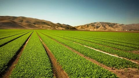 Land farming