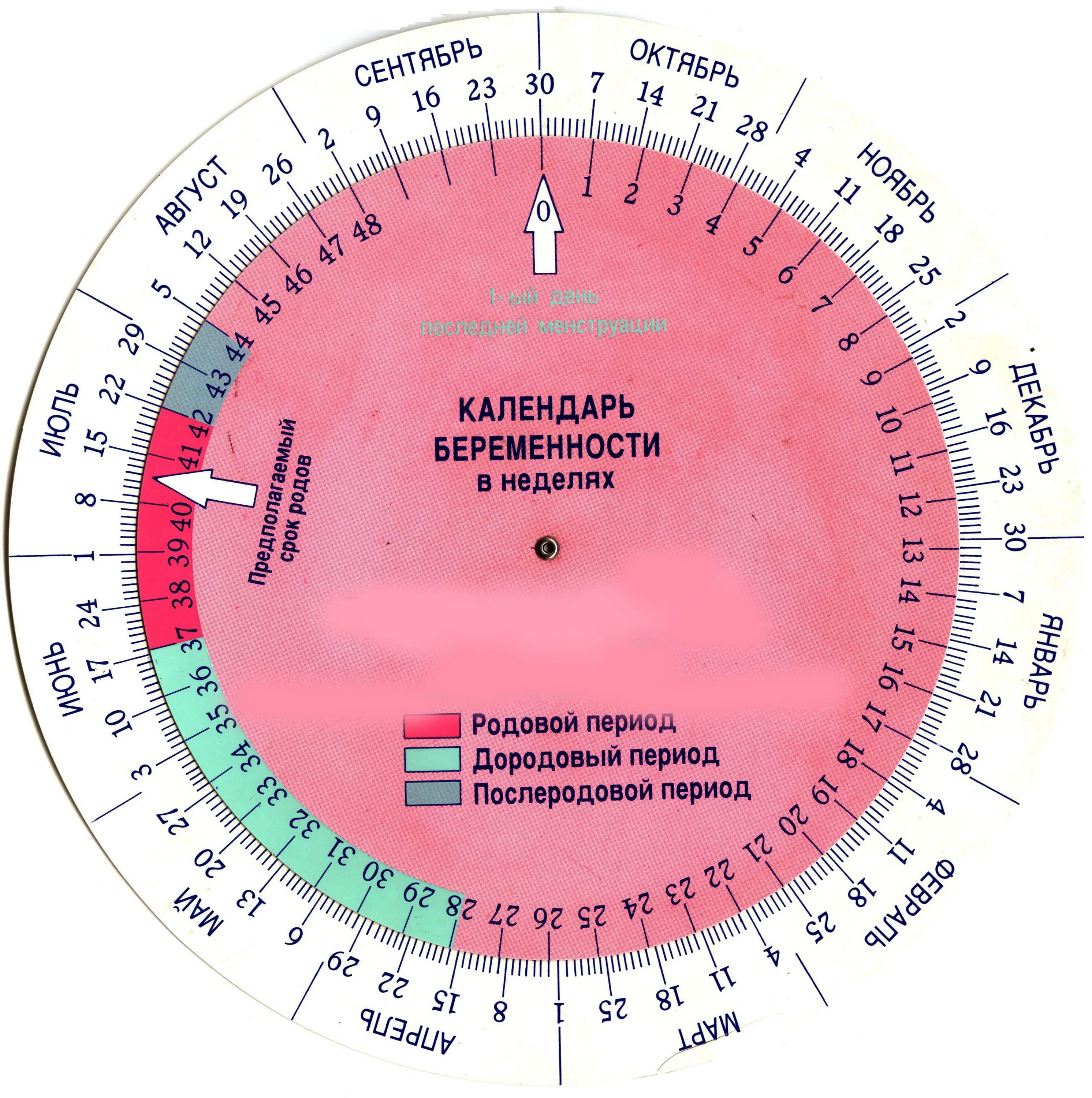 Рассчитать дату родов по последним месячным по неделям. Беременный календарь. Алендарь береименности. Калькулятор беременности по неделям.