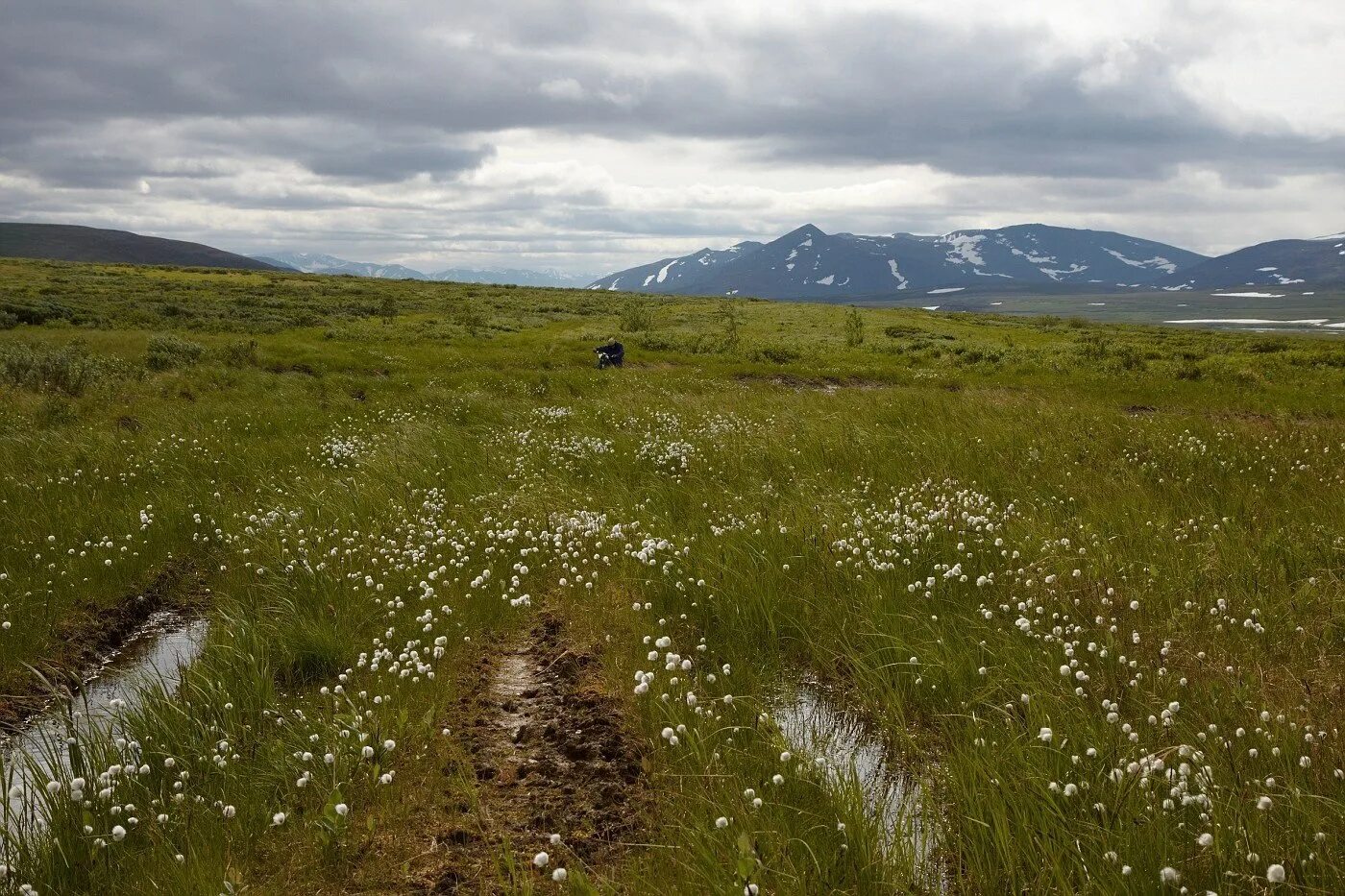 Строение почвы. Ралли арамиль 15 мая. Урал грунт. Рельеф северного урала. Урал грунт.